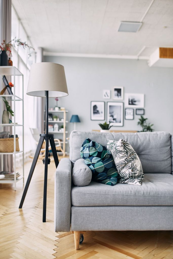 Clean and organized living room in a furnished home before a professional deep cleaning service