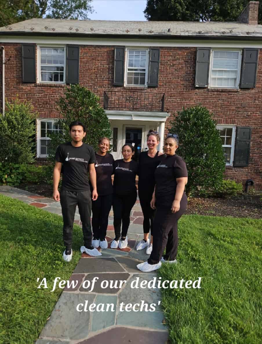 Five Post Green Cleaning technicians in black uniforms standing in front of a red brick colonial home