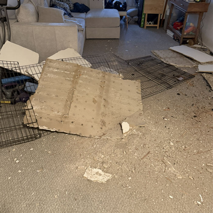 Ceiling collapse debris covering apartment floor before emergency dust remediation cleaning